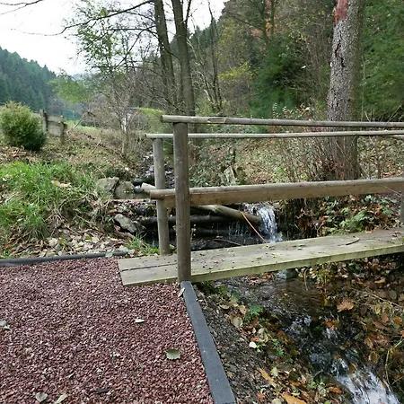 Waldblick 1