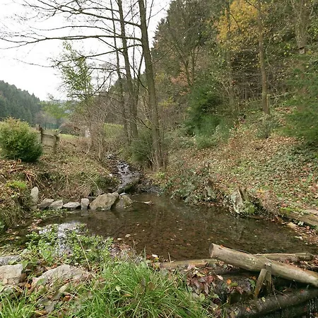 Апартаменты Waldblick 1 Эслоэ